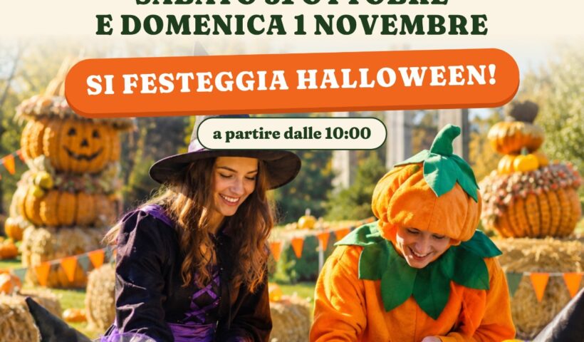 halloween regno zucche e paglia